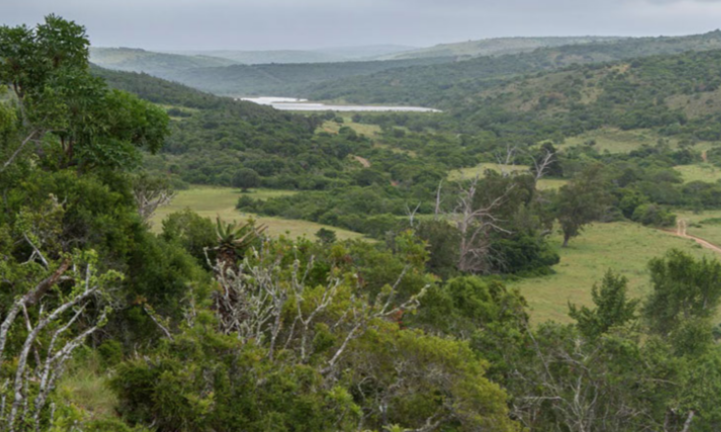 Aerial view of Game Reserve Aerial view of Game Reserve