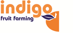 Indigo Fruit Farming