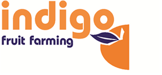 Indigo Fruit Farming
