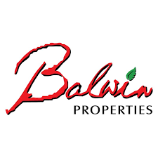balwin balwin