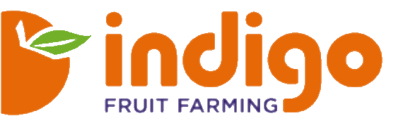 output-onlinepngtools (7)